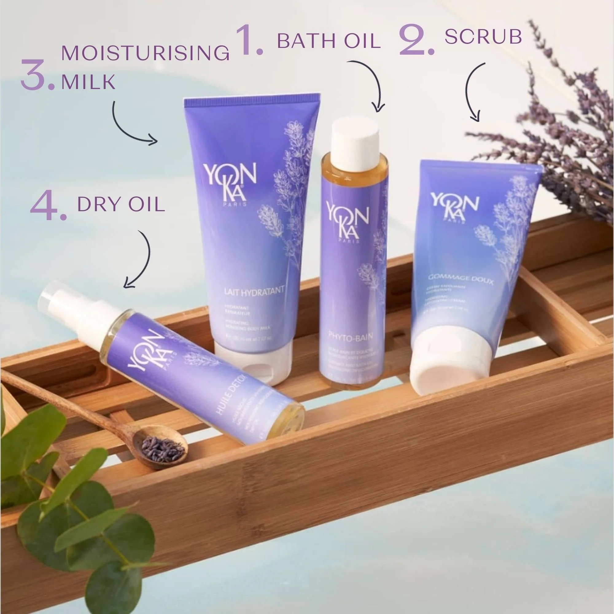 Phyto-Bain - Image 5