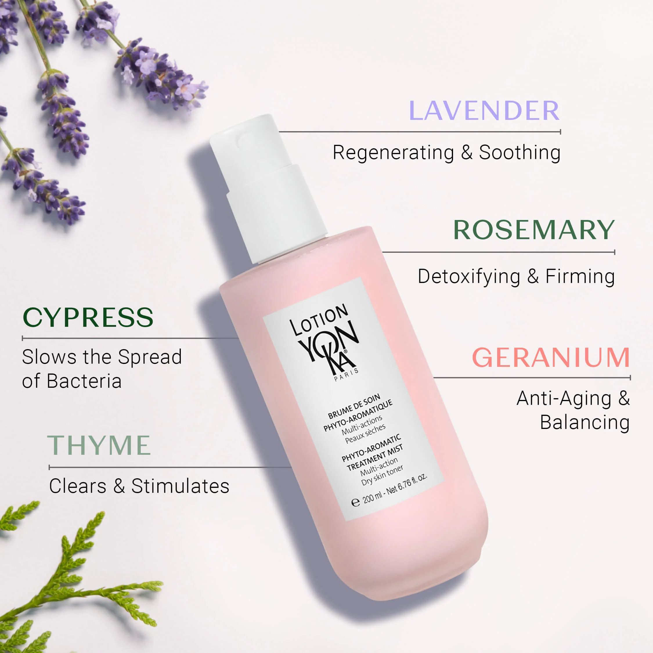 Lotion Yon-Ka Dry skin - Image 6