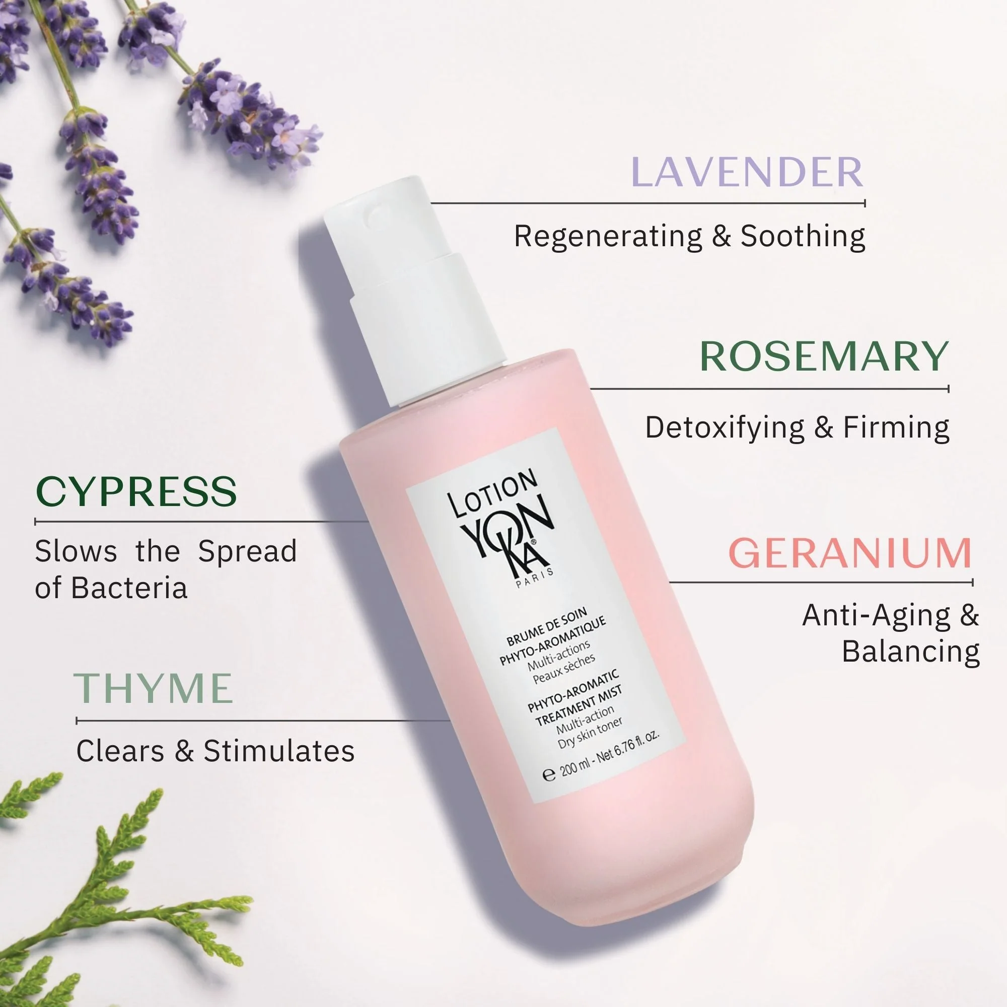 GIFT Lotion PS - Image 2